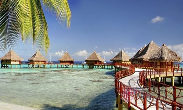 2015年秋季促銷活動